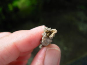 Lechatelierite Fulgurite from the Great Sand Sea in Egypt