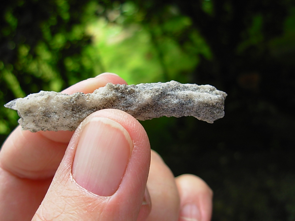 Lechatelierite Fulgurite from the Great Sand Sea in Egypt