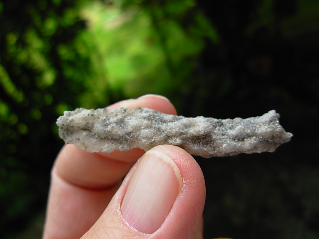 Lechatelierite Fulgurite from the Great Sand Sea in Egypt