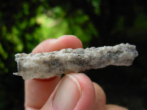 Lechatelierite Fulgurite from the Great Sand Sea in Egypt