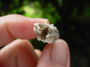 Lechatelierite Fulgurite from the Great Sand Sea in Egypt