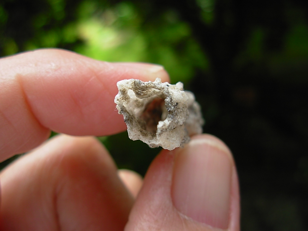 Lechatelierite Fulgurite from the Great Sand Sea in Egypt