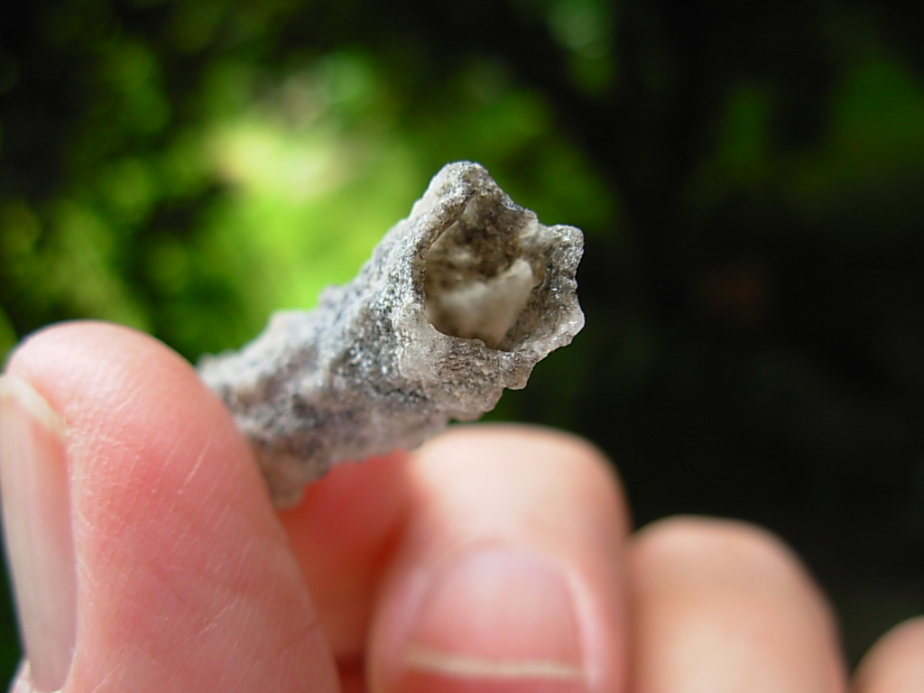 Lechatelierite Fulgurite from the Great Sand Sea in Egypt