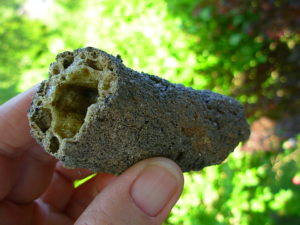 Rare Lechatelierite Fulgurite from Lake Isabella California