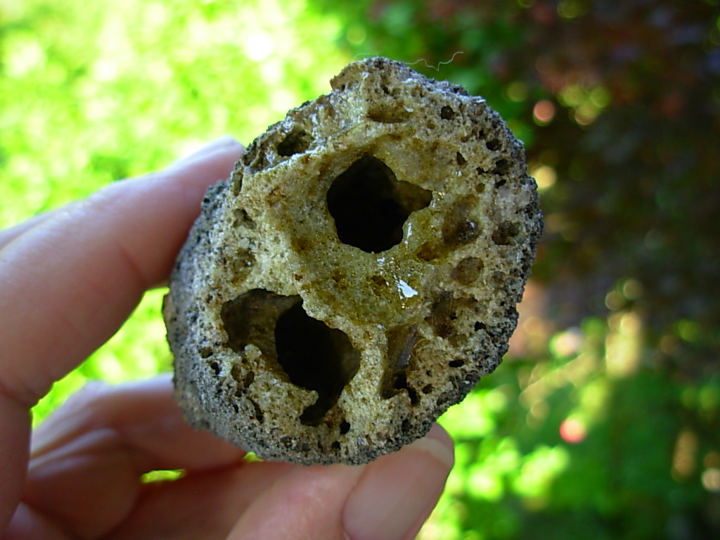 Rare Lechatelierite Fulgurite from Lake Isabella California