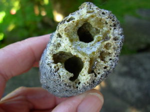 Rare Lechatelierite Fulgurite from Lake Isabella California