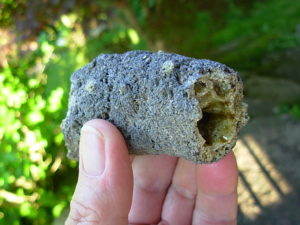 Rare Lechatelierite Fulgurite from Lake Isabella California