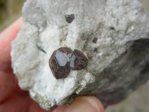 Garnets