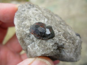 Garnets