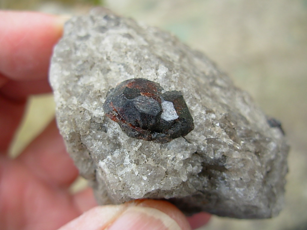 Garnets