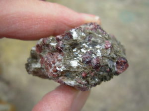 Garnets