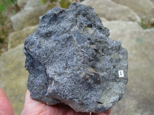 Garnets from Little Pine Mine, NC