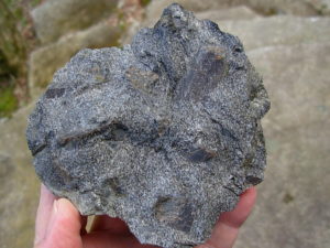 Garnets from Little Pine Mine, NC