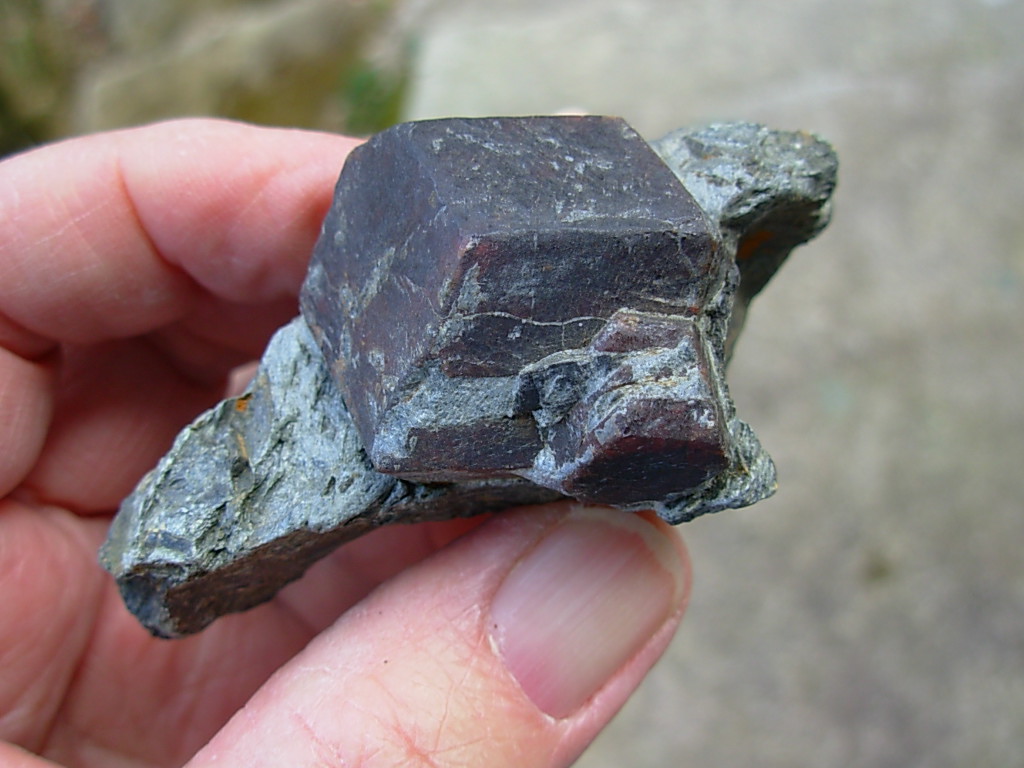 Garnet_in_Matrix_2_Little_Pine_Mine_2_