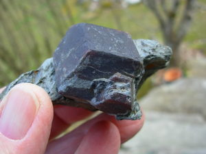 Garnet_in_Matrix_2_Little_Pine_Mine_5_