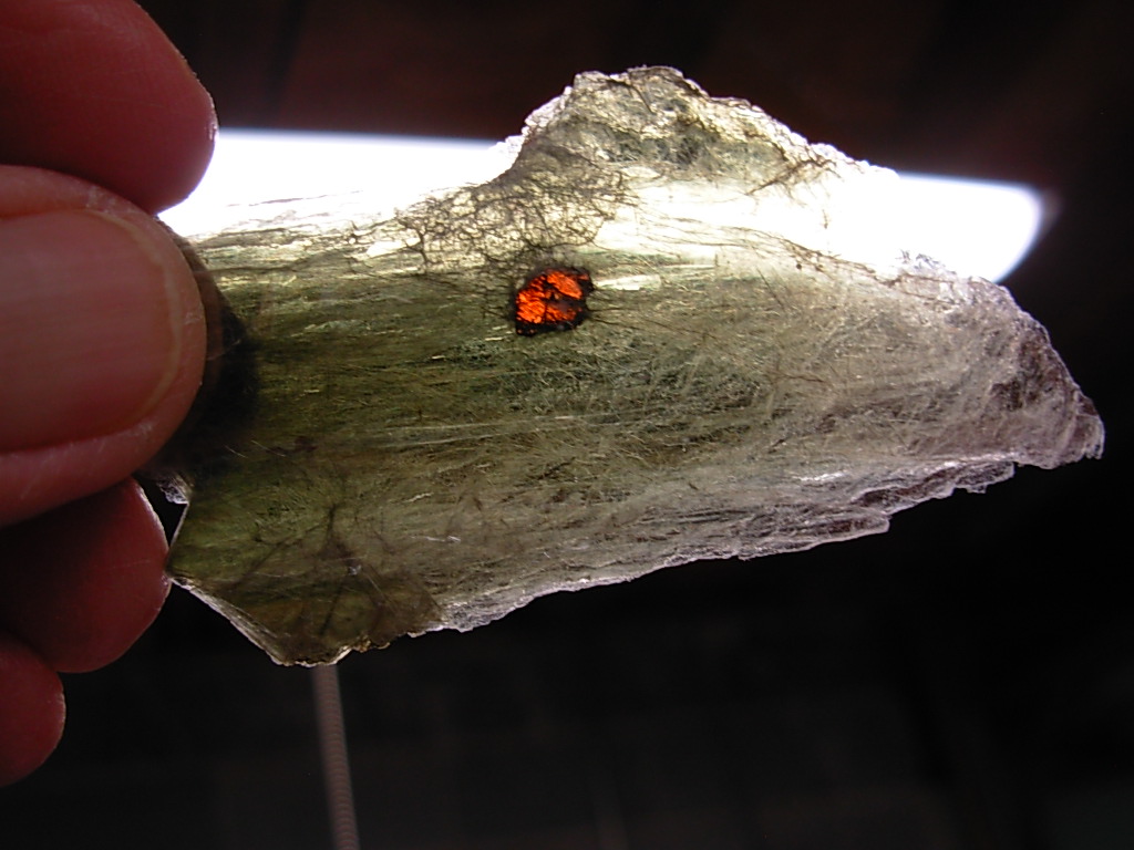 Garnets in Muscovite
