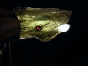 Garnets in Muscovite