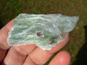 Garnets in Muscovite