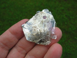 Garnets in Muscovite