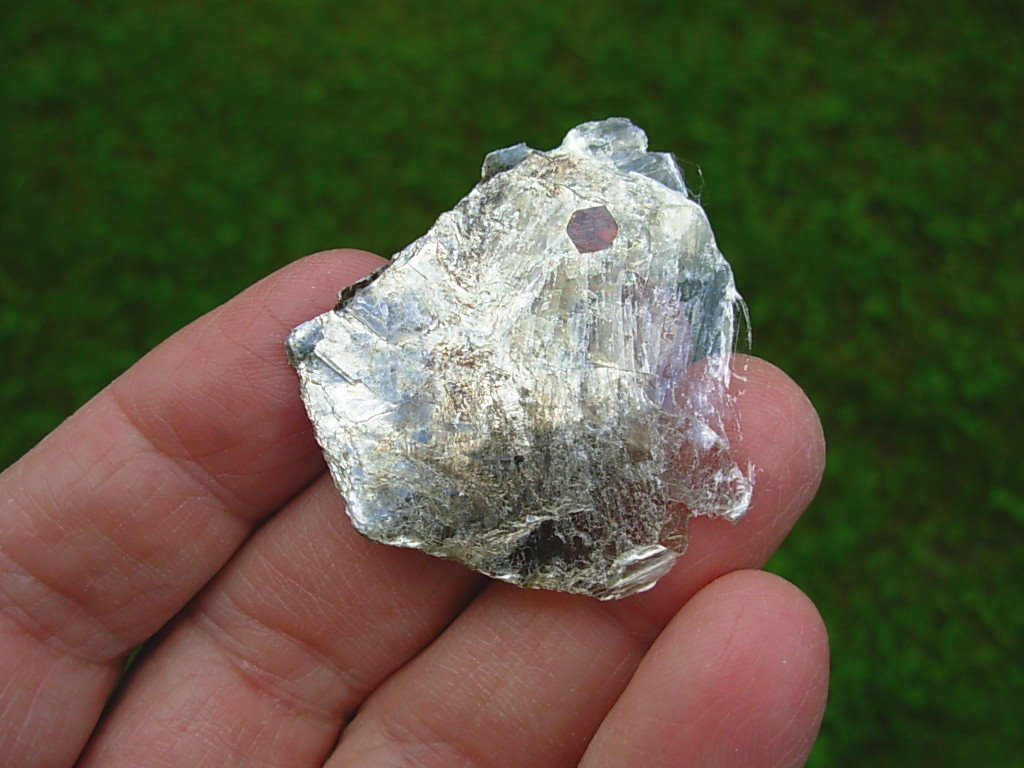 Garnets in Muscovite