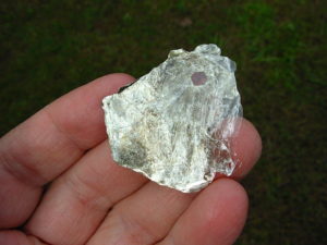 Garnets in Muscovite