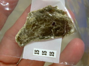 Garnets in Muscovite