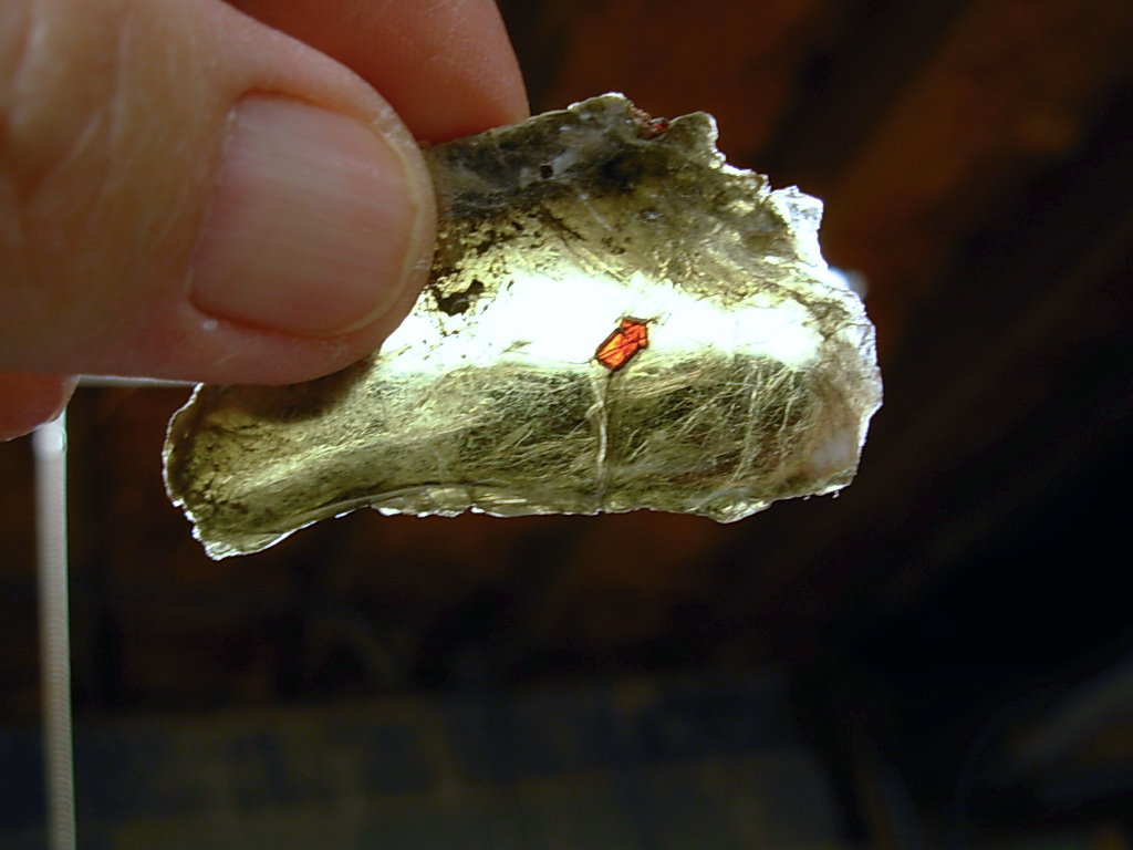 Garnets in Muscovite