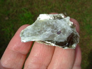 Garnets in Muscovite