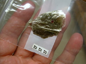 Garnets in Muscovite