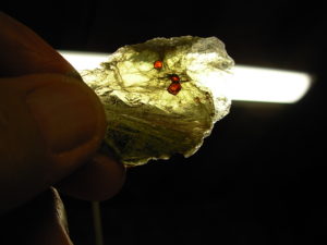 Garnets in Muscovite