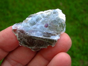 Garnets in Muscovite