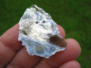 Garnets in Muscovite