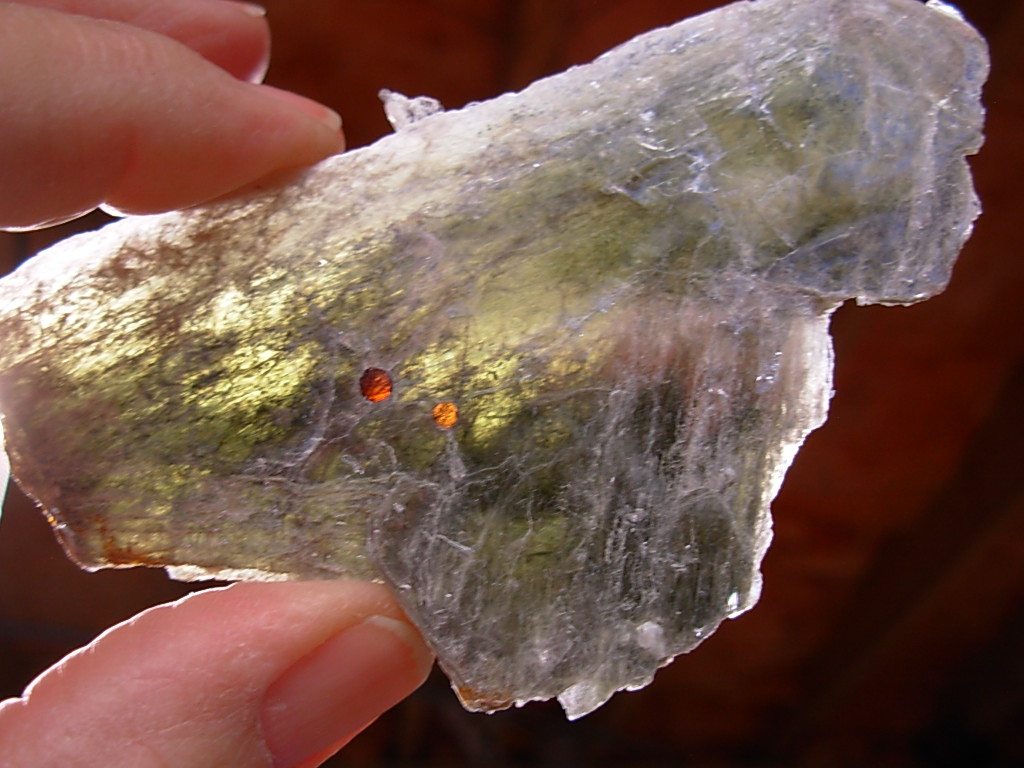 Garnetsa in Muscovite