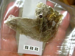 Garnetsa in Muscovite