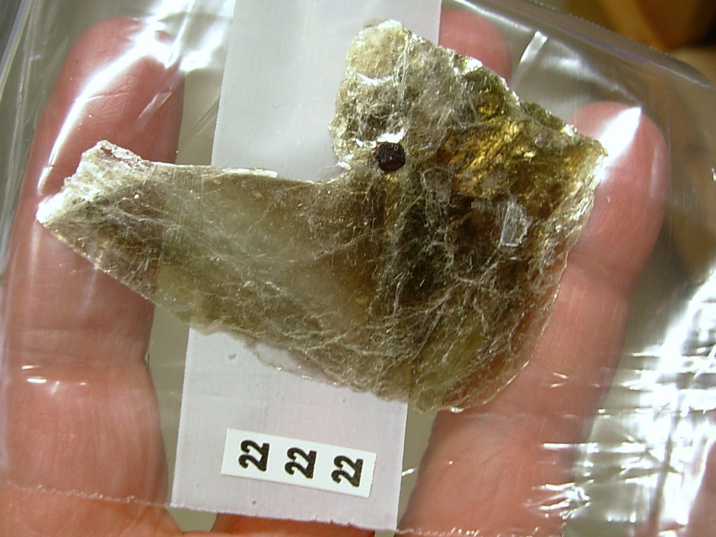 Garnetsa in Muscovite