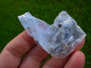 Garnetsa in Muscovite