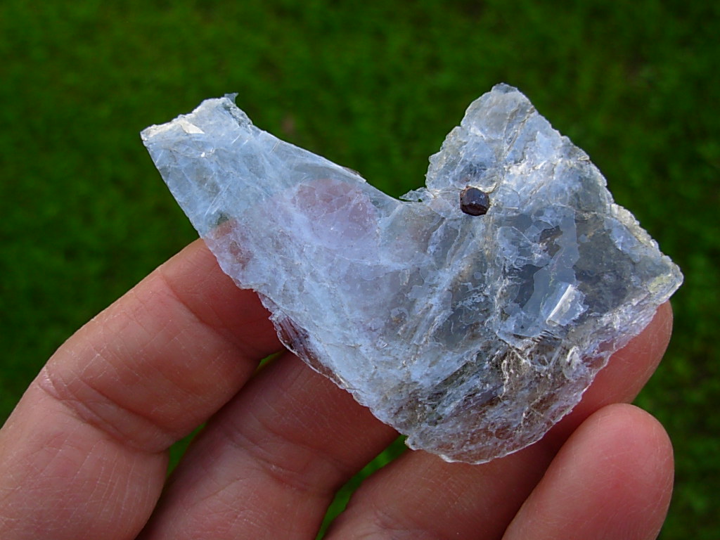 Garnetsa in Muscovite