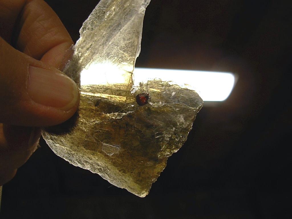 Garnetsa in Muscovite