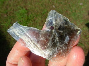 Garnetsa in Muscovite