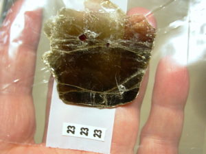 Garnetsa in Muscovite