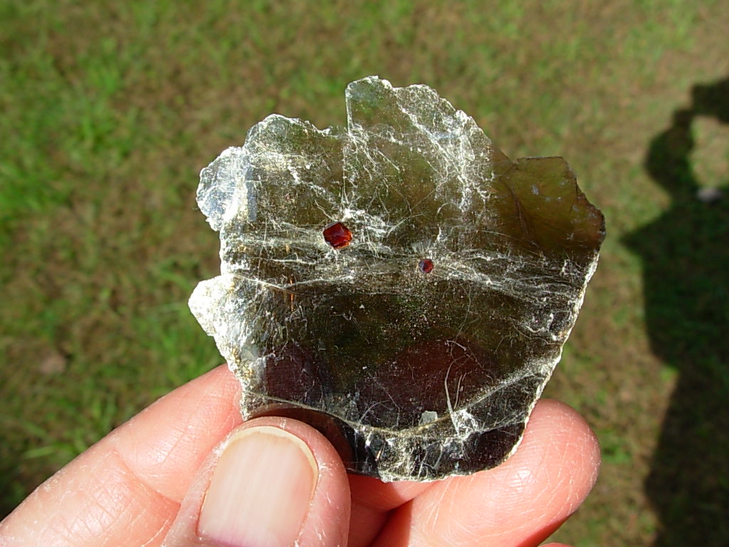 Garnetsa in Muscovite