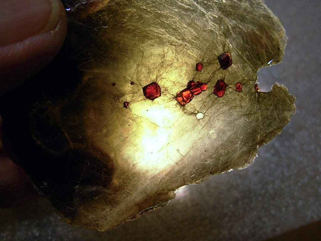 Garnetsa in Muscovite