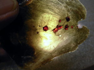 Garnetsa in Muscovite