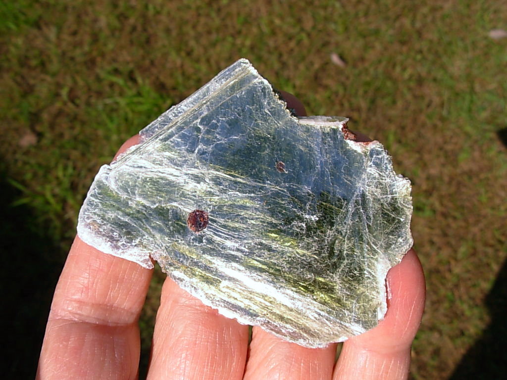 Garnetsa in Muscovite