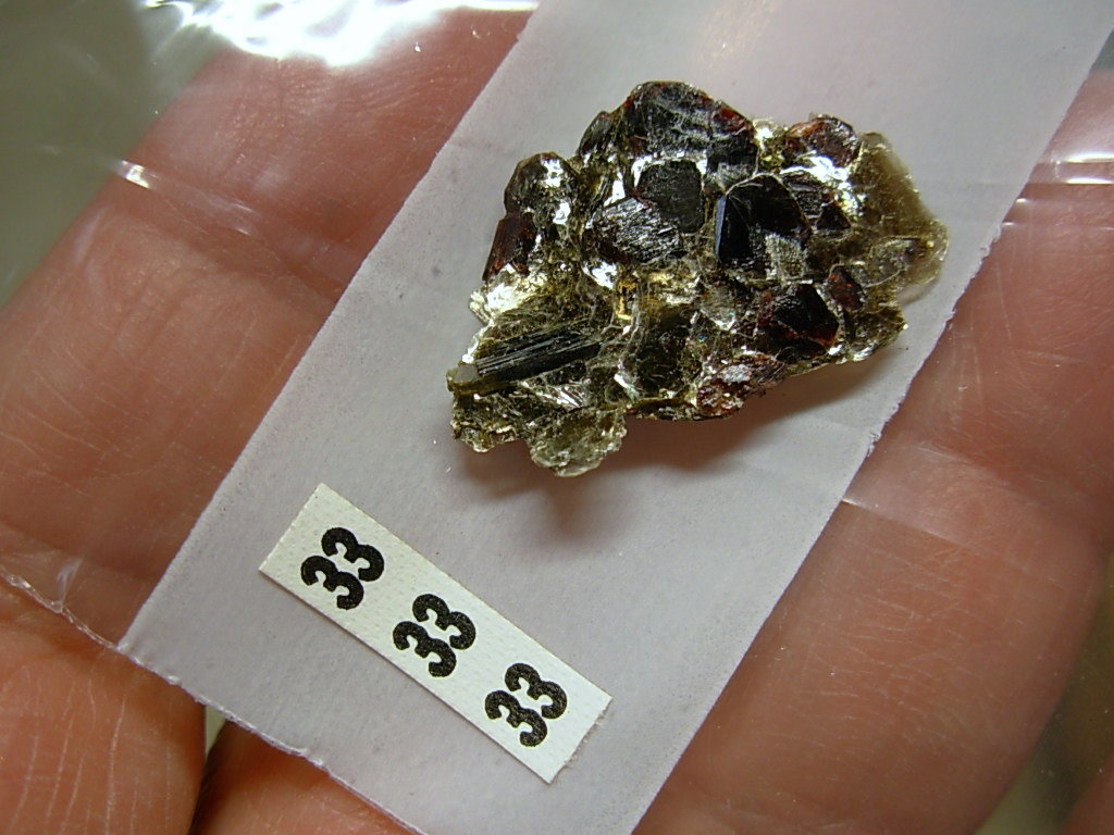 Garnetsa in Muscovite
