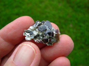 Garnetsa in Muscovite