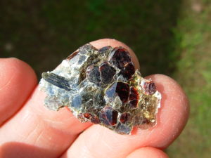 Garnetsa in Muscovite