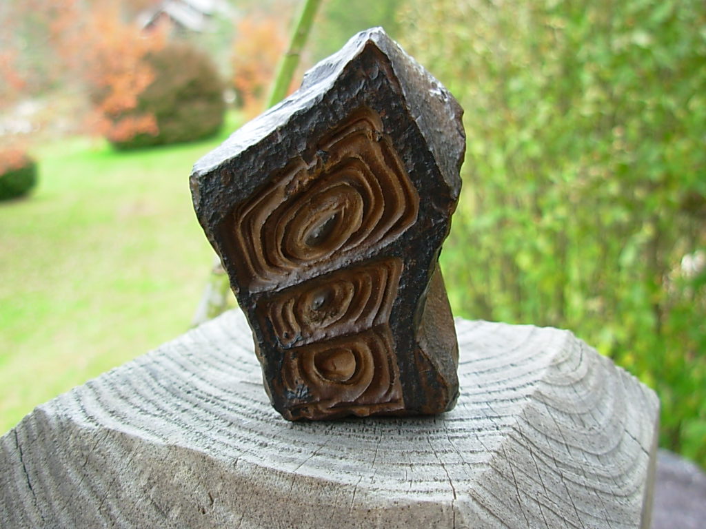Goethite with Desert Varnish found in the Sahara Desert