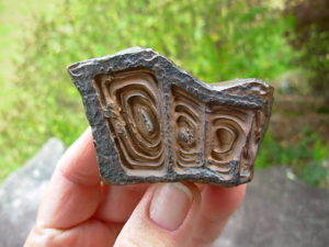Goethite with Desert Varnish found in the Sahara Desert