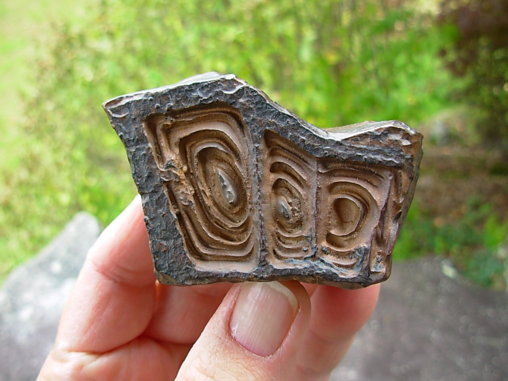 Goethite with Desert Varnish found in the Sahara Desert